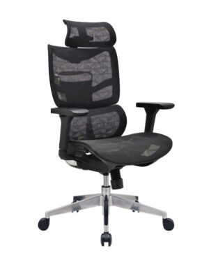 Skid Ergonomic Chair